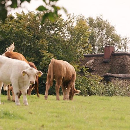 "Reetland" - Haus Hartwig Lägenhet Tating Exteriör bild