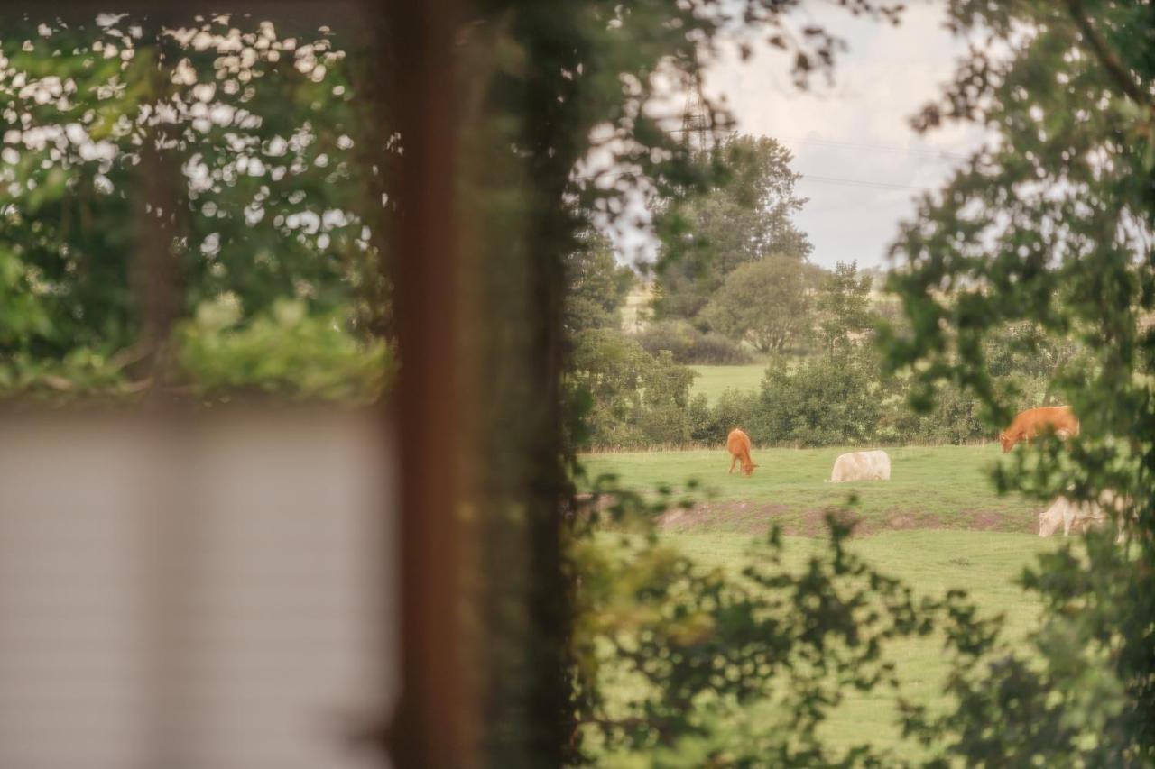 "Reetland" - Haus Hartwig Lägenhet Tating Exteriör bild